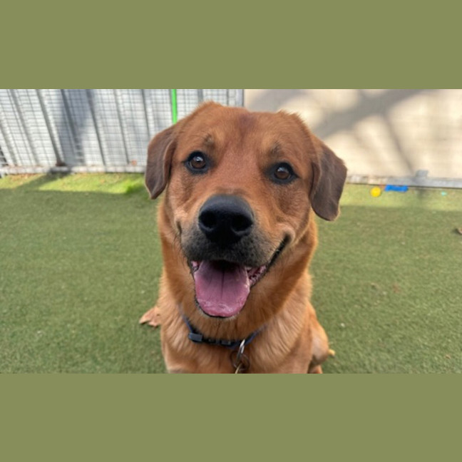 Photo of Clifford