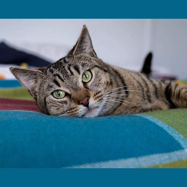 Photo of Oliver