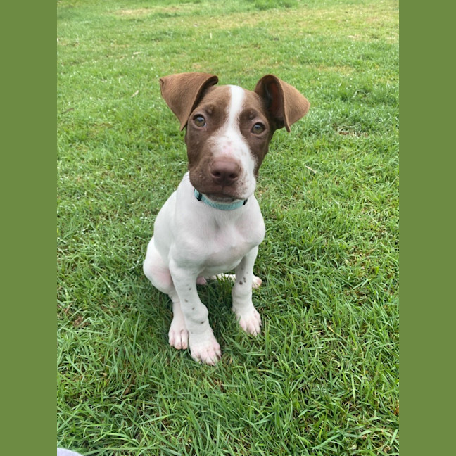Photo of Wyatt