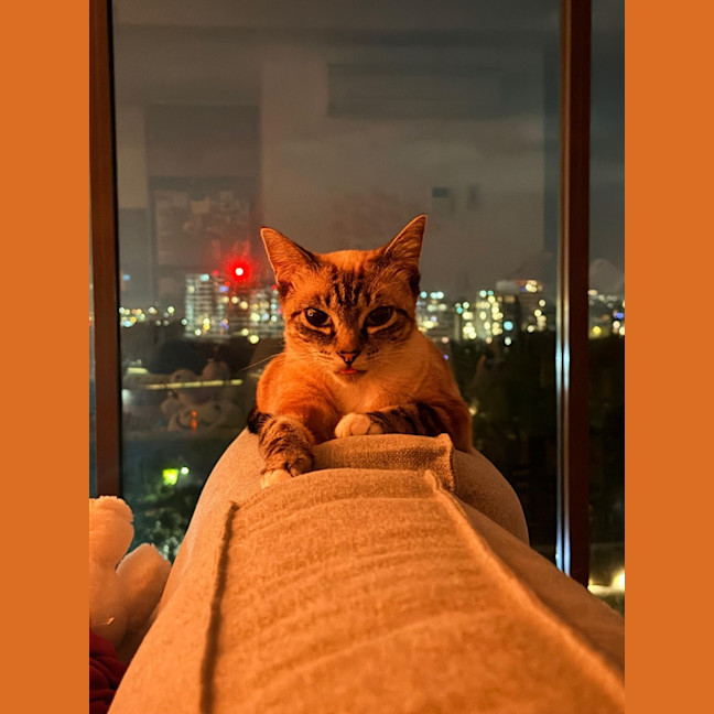 Photo of Pearl