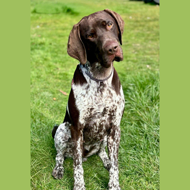 Photo of Reggie
