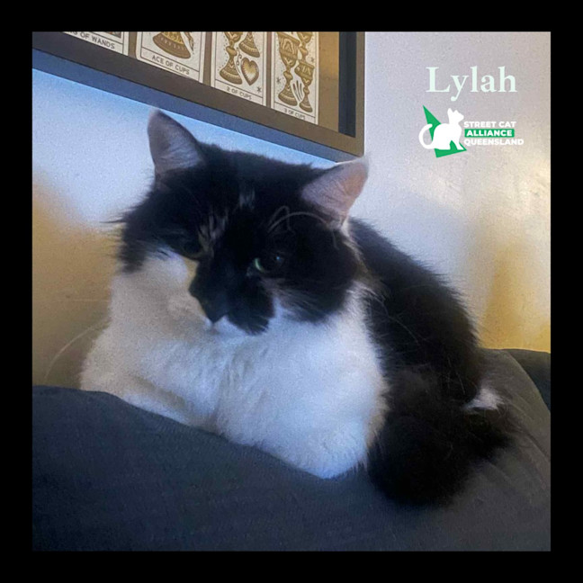 Photo of Lylah