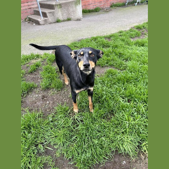 Photo of Tilly