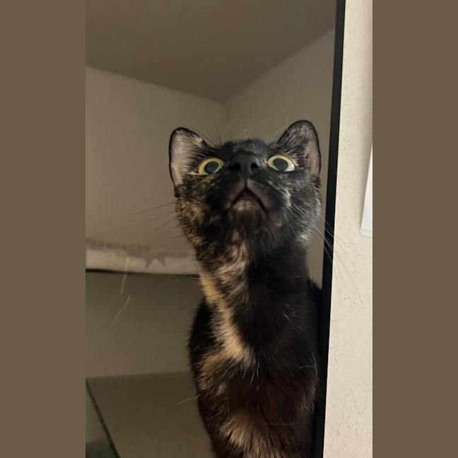 Photo of Dottie