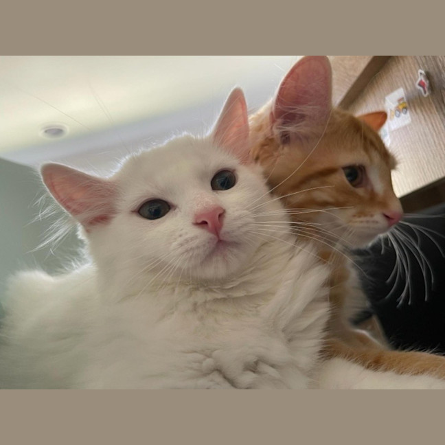 Photo of Rudolf Xenos