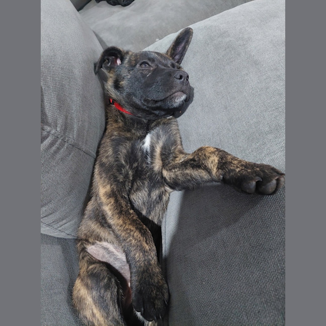 Photo of Meelowe
