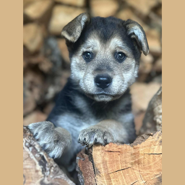 Photo of Marino