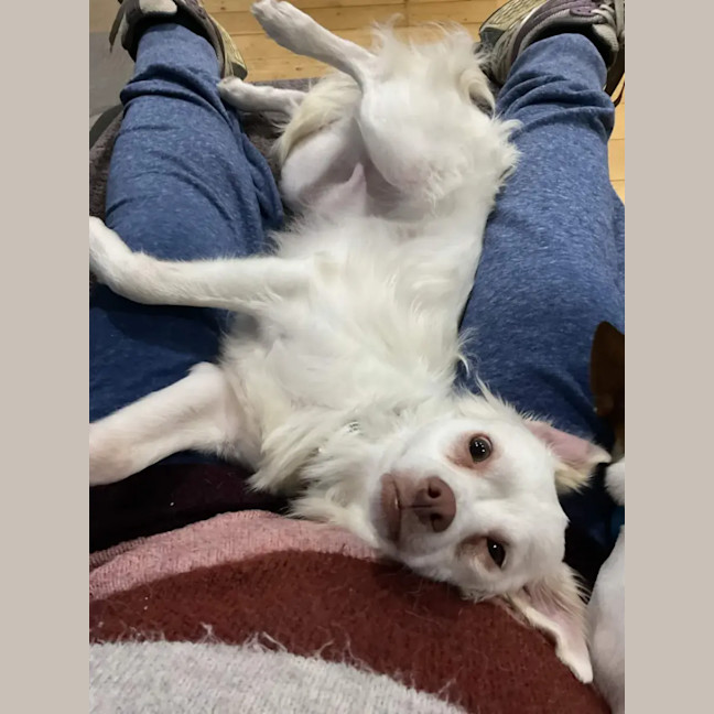 Photo of Teddy