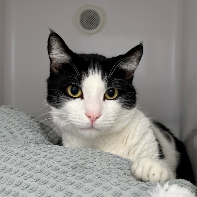 Photo of Mimi Sua013421