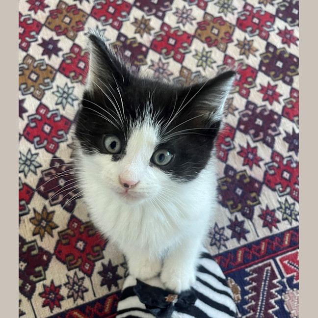 Photo of Mickey And Minnie