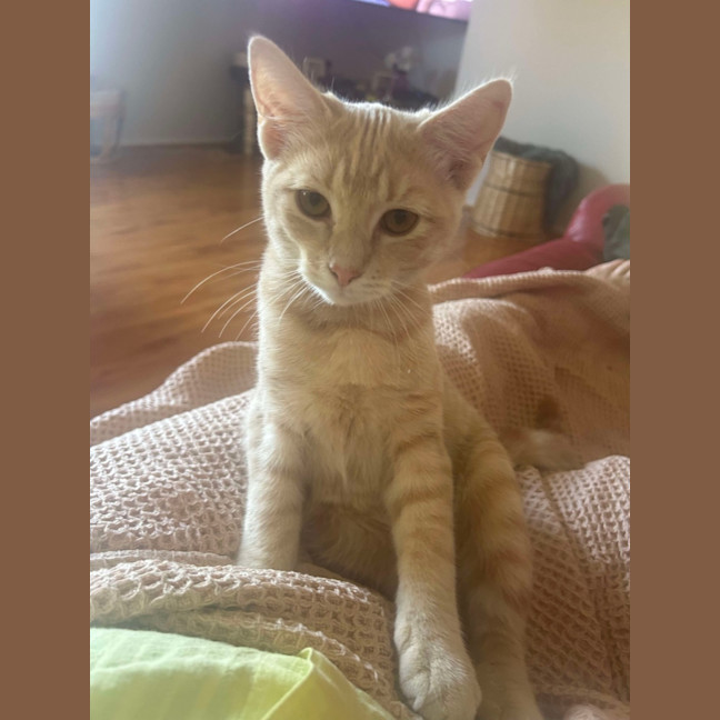 Photo of Jack & Jill 