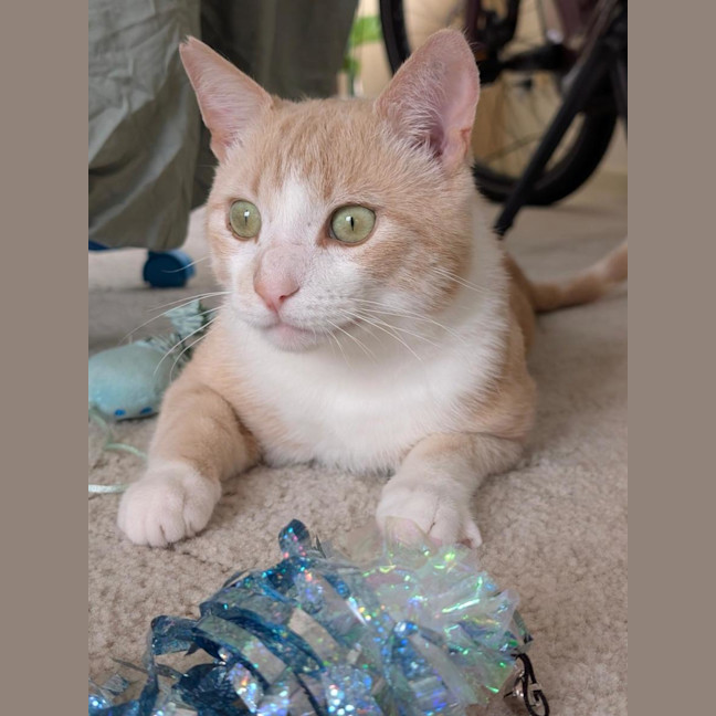 Photo of Mr Bubbles
