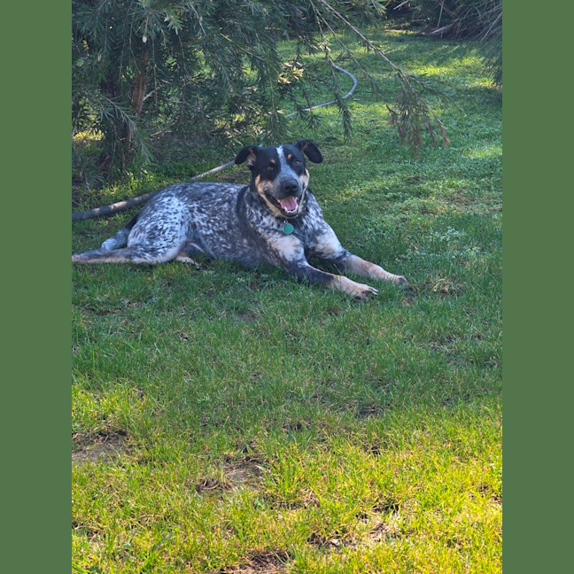 Photo of Paddy