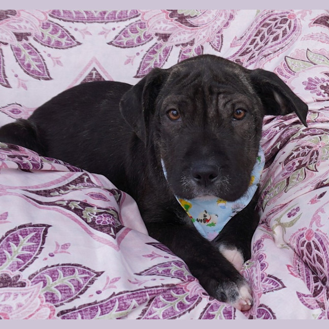 Photo of Nellie