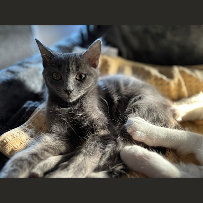 Photo of Maggie