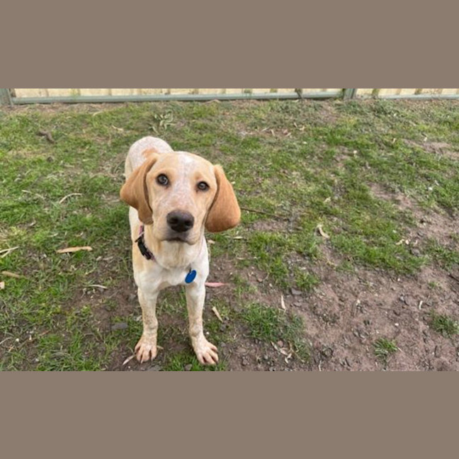 Photo of Stanley