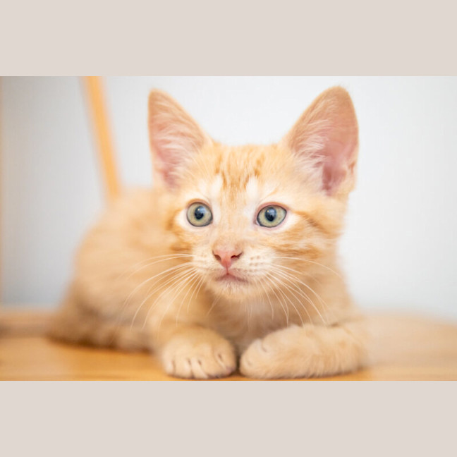 Photo of Wednesday