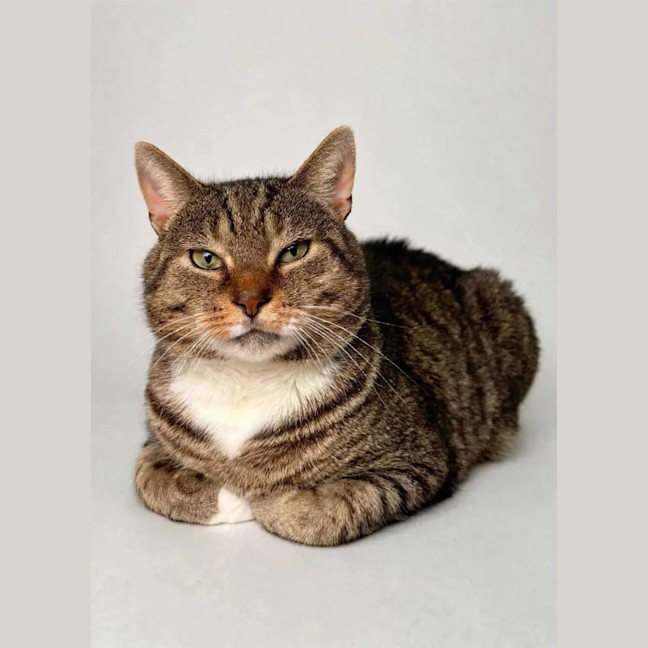 Photo of Tom
