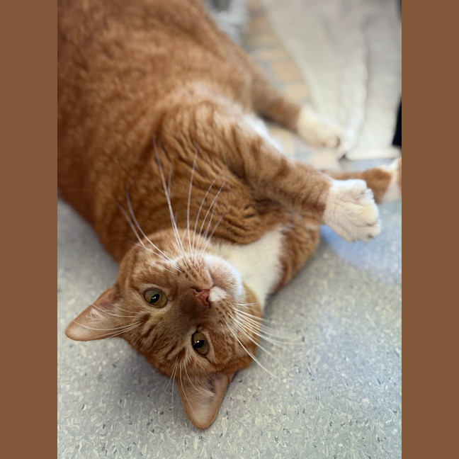 Photo of Charlie