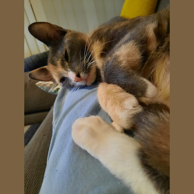 Photo of Wobbles 