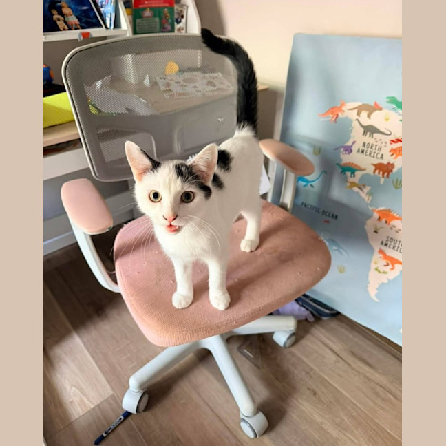 Photo of Sunny 