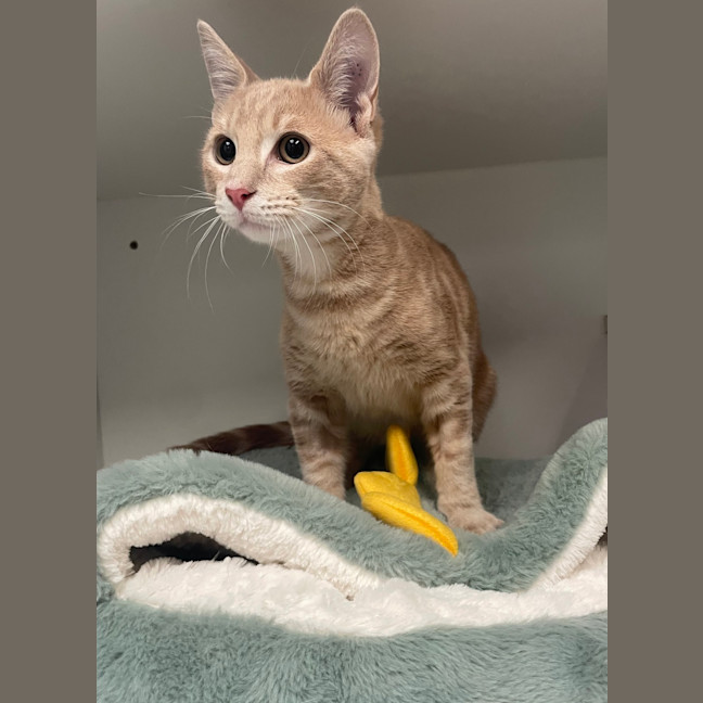 Photo of Veuve