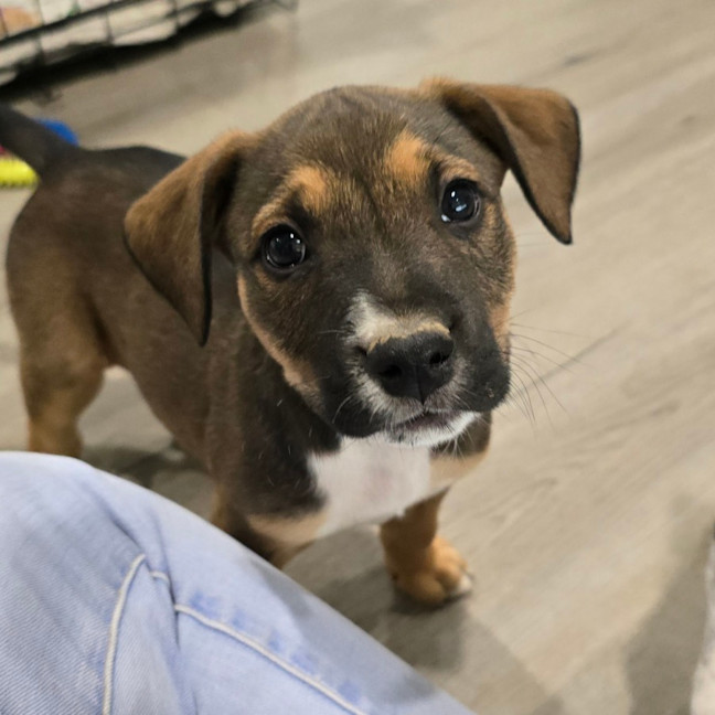 Photo of Marceline The Vampire Queen