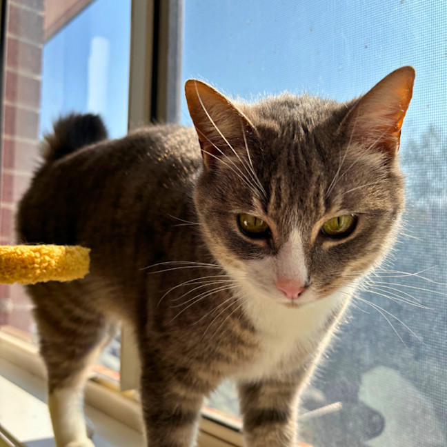 Photo of Millie