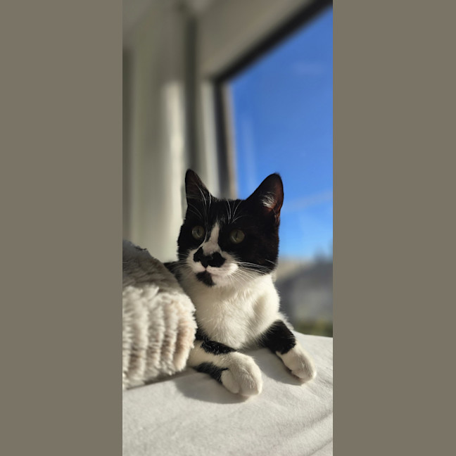 Photo of Sugar