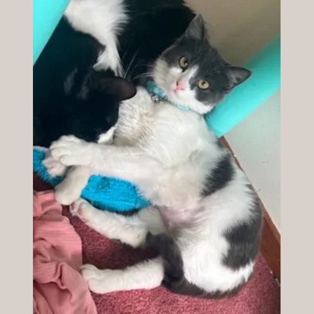 Photo of Rosie Dancer