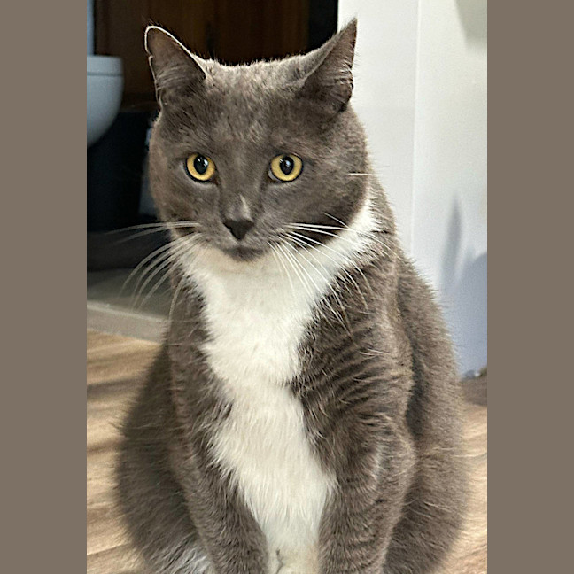 Photo of Winston