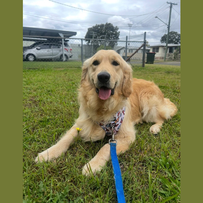 Photo of Billy