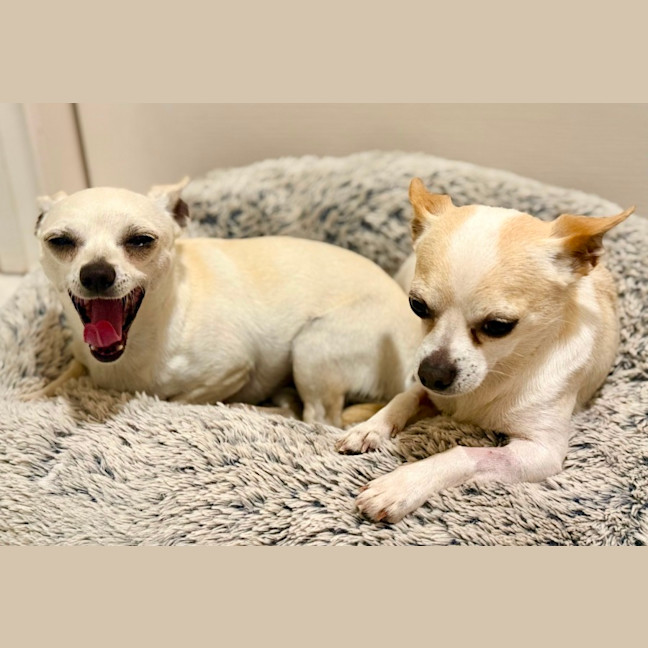 Photo of Mickey & Minnie