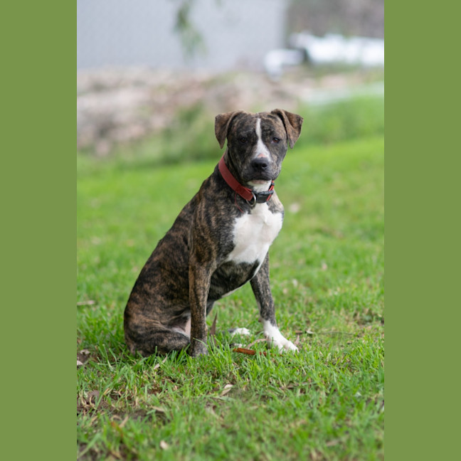 Photo of Hazel