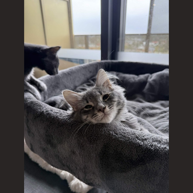 Photo of Theo