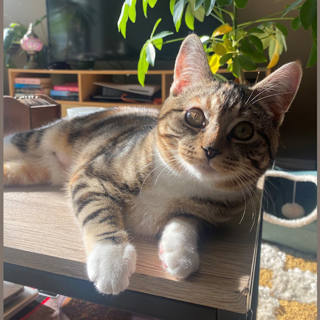 Photo of Thelma