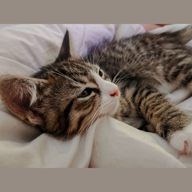 Photo of Winnie