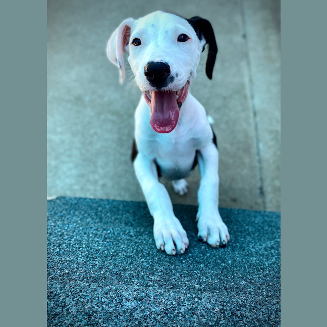Photo of Storm
