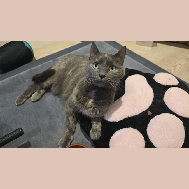 Photo of Fifi