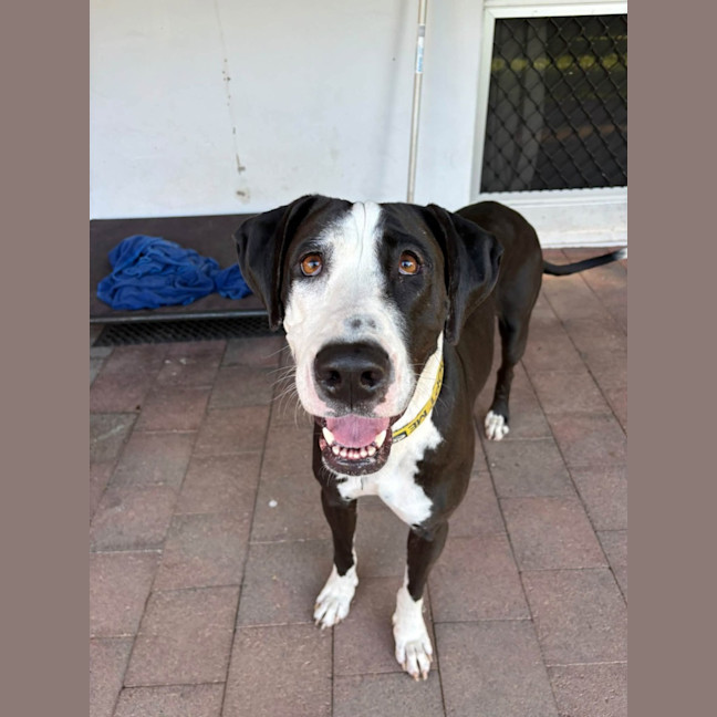 Photo of Doofy