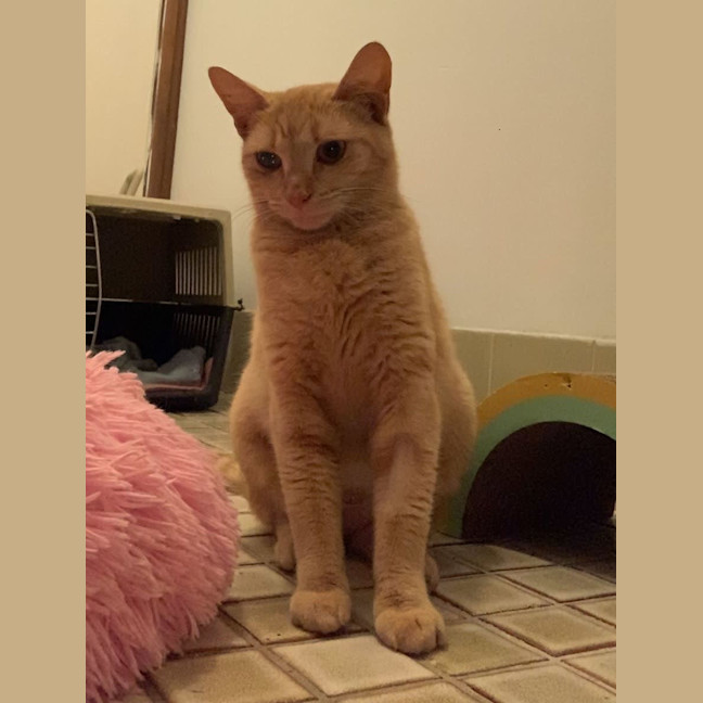 Photo of Princess Harriet