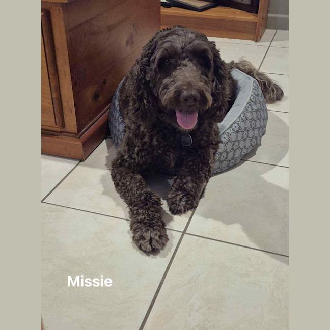 Photo of Missie
