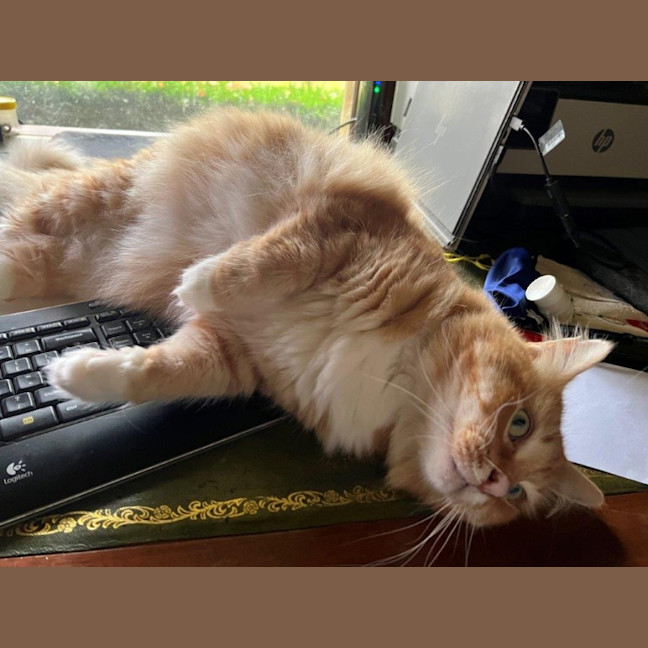 Photo of Griffin Nightingale