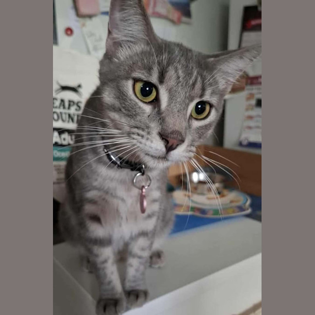 Photo of Leo