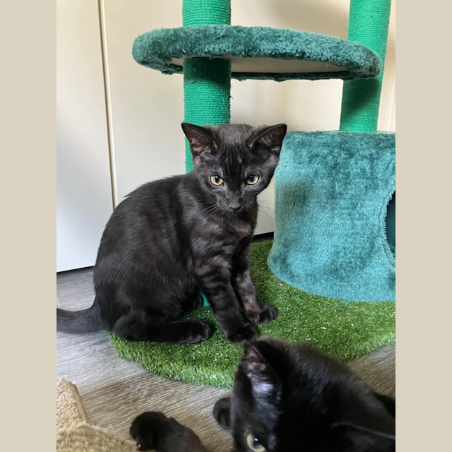 Photo of Monte ❤️