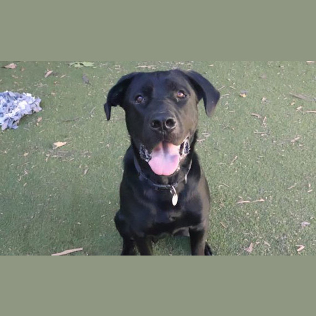 Photo of Murphy