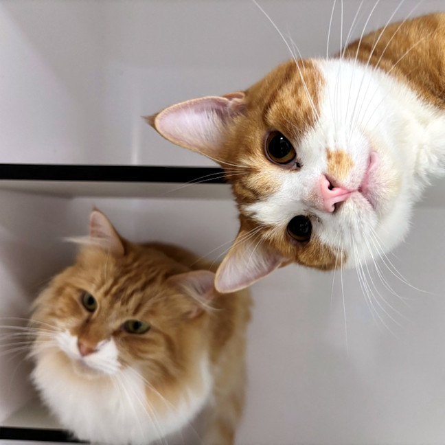 Photo of Arlo Sta015222 & Mae Sta015221