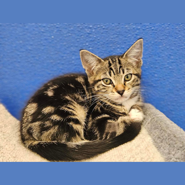 Photo of Wonky