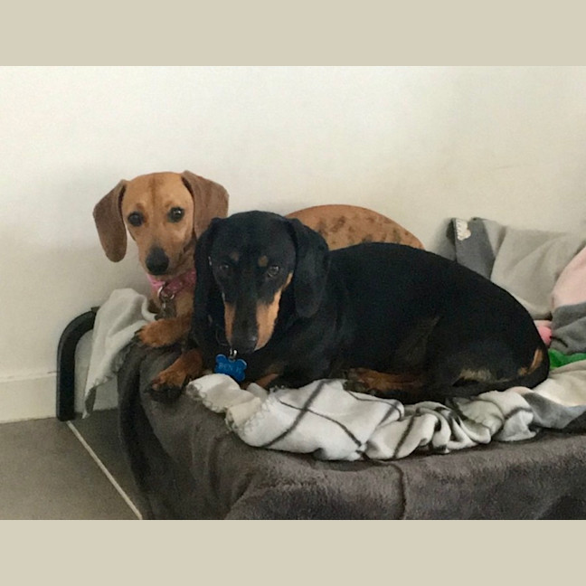 Photo of Benji And Saide