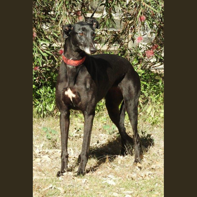 Photo of Heidi